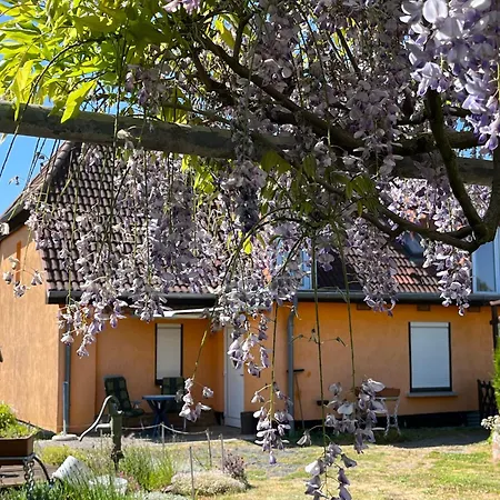 Mit Garten Und Ostseenaehe Ovs 111 Rakow